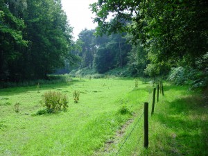 WBWL_HA-PS_1_oude_gracht_fort_de_Roovere__verland