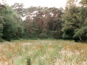 fotos_oud_012