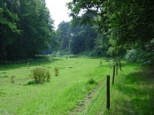 fotos_oud_039