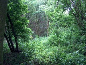 fotos_oud_052